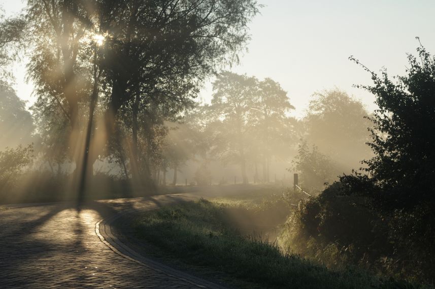 Benevelde landweg in de Alde Feanen