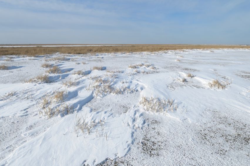 Noords Friesland buitendijks in de winter