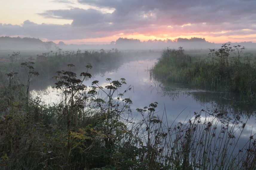 De Boorne in de ochtendnevel