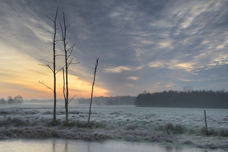 Ochtend in de Hemrikkerscharren