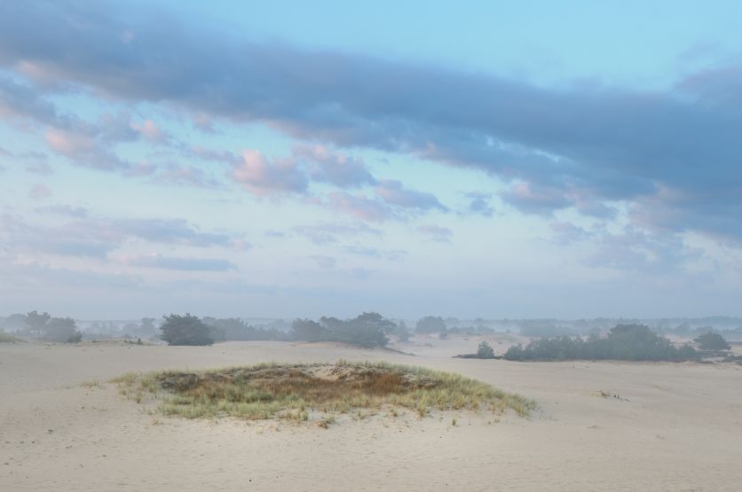 Ochtend op het Aekingerzand