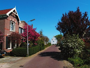 Egmond aan den Hoef