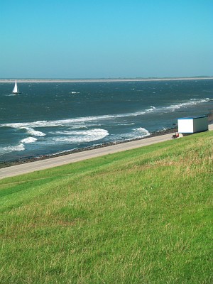 Huisduinen