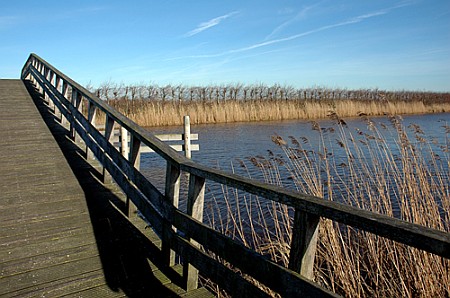 Kommerzijl