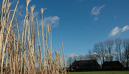 Foto zonder naam