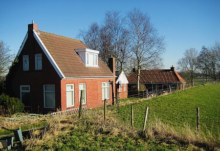 Roodehaan