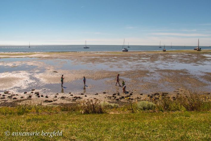 Vlieland, drooggevallen wad met schepen