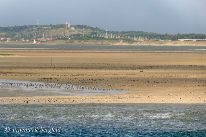 Richel en Vlieland