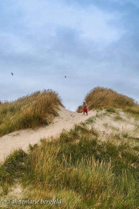 Vlieland, alleen in de duinen