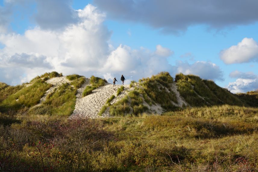 stuifduin bij vuurtoren Schiermonnikoog