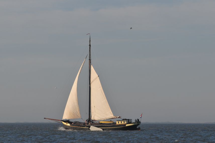 Zeilen op de Waddenzee