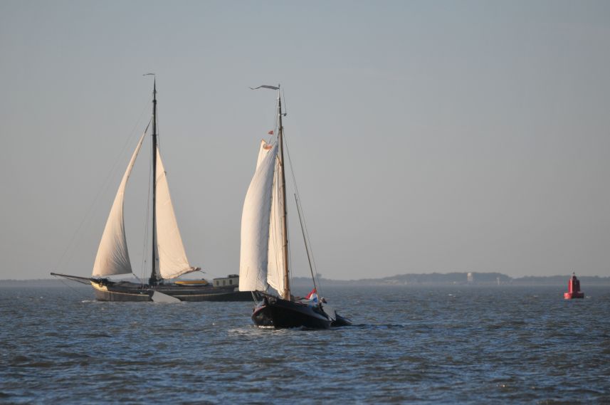 Zeilen op de Waddenzee