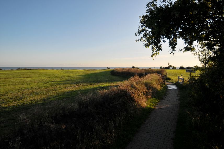 Paadje naar het Oudemirdumerklif