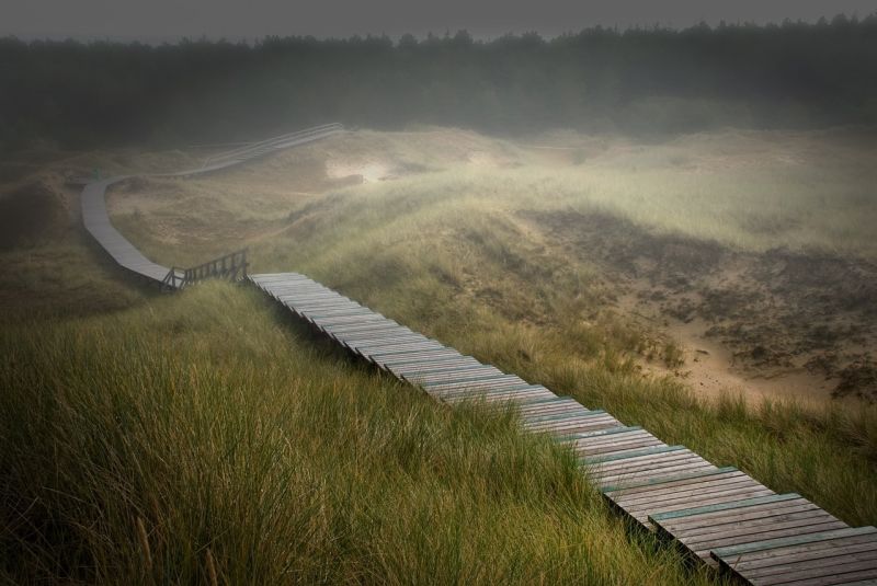 De leukste vakantieparken van Friesland