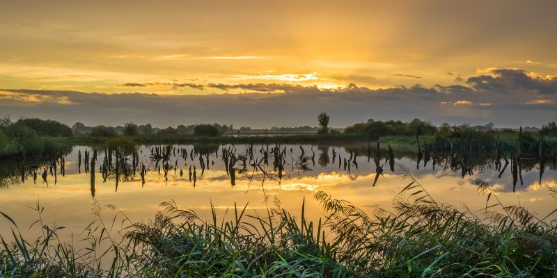 Nationaal Park De Alde Feanen