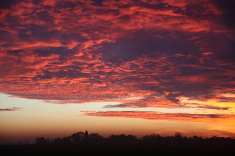 Boazum bij zonsopkomst