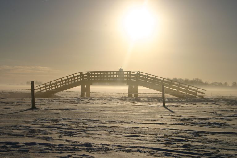 Winterlandschap Boazum