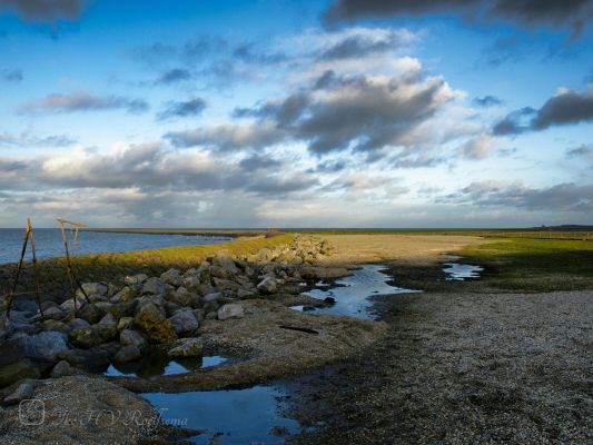 Op de grens van schaduw en licht