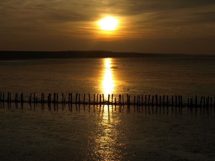 Gouden Waddenlicht