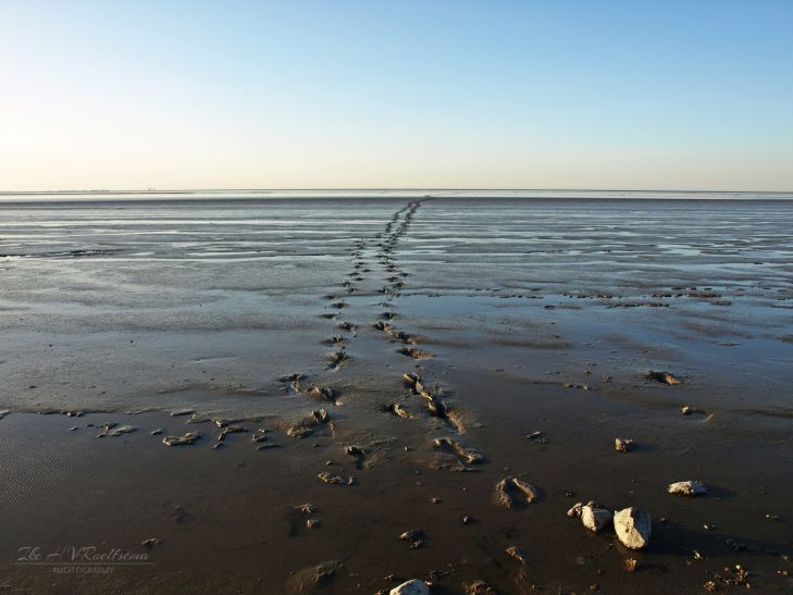 Onderweg naar de horizon