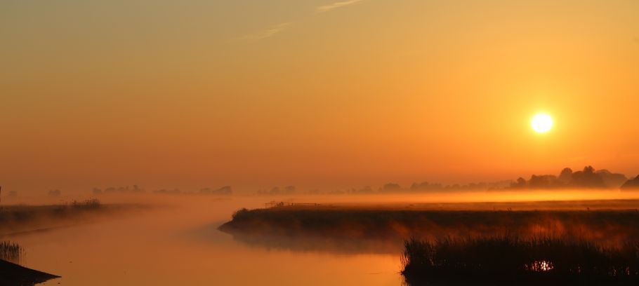 ochtend zon met mist