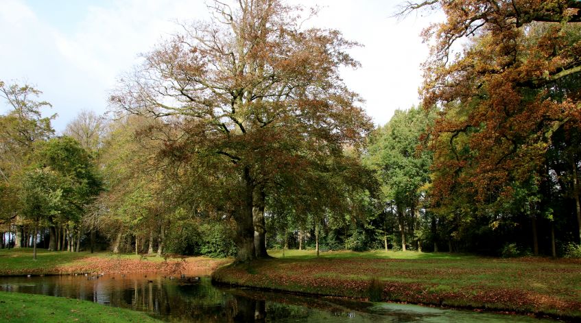 Landgoed Stania State in Oenkerk