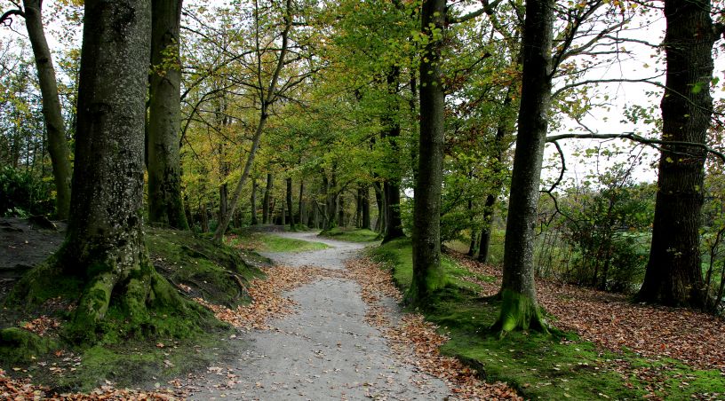 Het prachtige oude park van Stania State in Oenkerk.