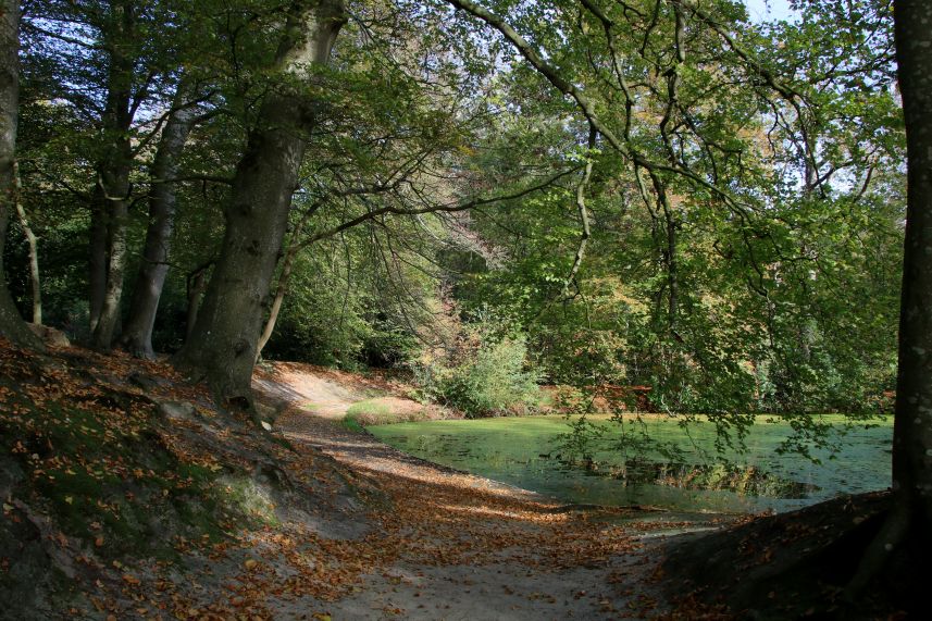 Herfst in het park van Stania State