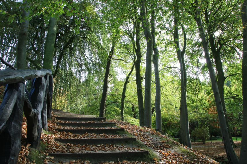 Herfst in het park van Stania State