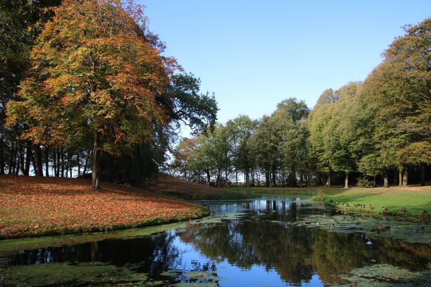 Herfst in het park van Stania State