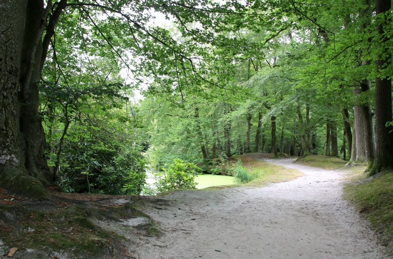 Herfst in het park van Stania State