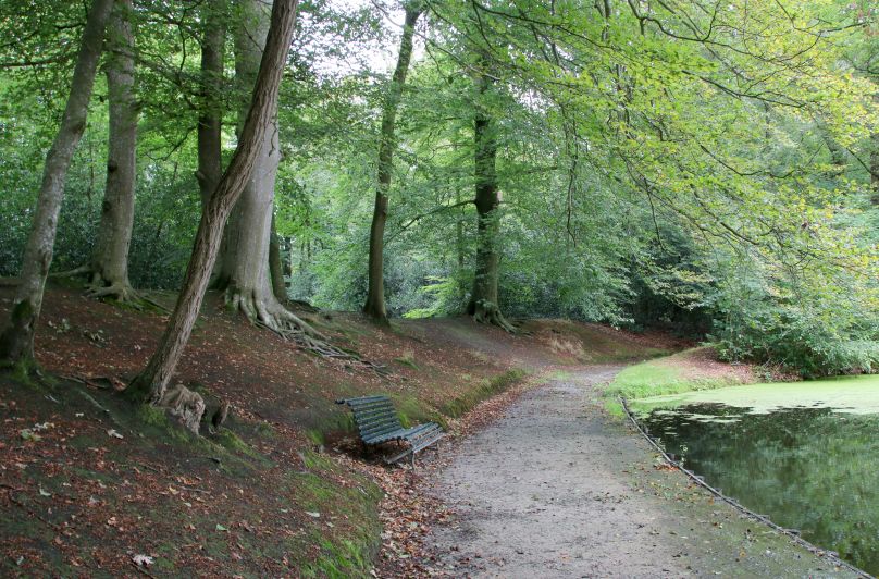 Herfst in het park van Stania State