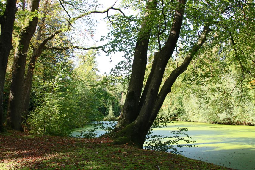 Herfst in het park van Heemstra State.