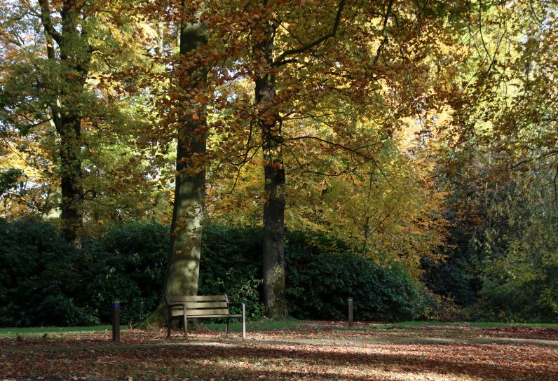 Herfst in het park van Heemstra State.