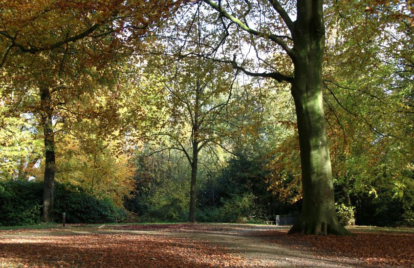 Herfst in het park van Heemstra State.