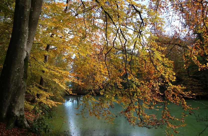 Herfst in het park van Heemstra State.