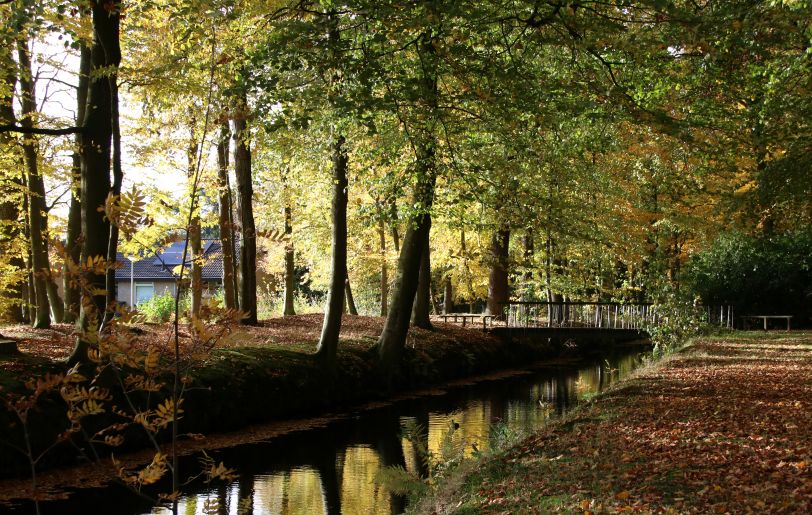 Herfst in het park van Heemstra State.