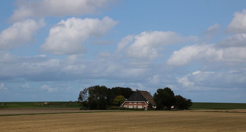 Wijds uitzicht bij Zwarte Haan