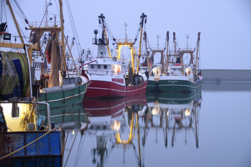 Visserijhaven Harlingen