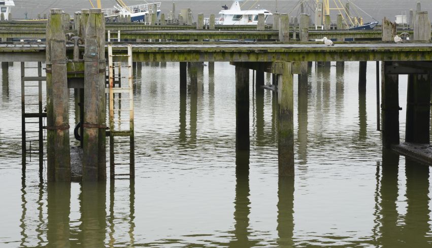 Vissershaven Harlingen