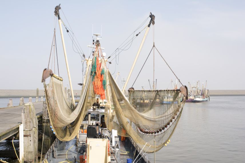 Drogend visserstuig in haven van Harlingen