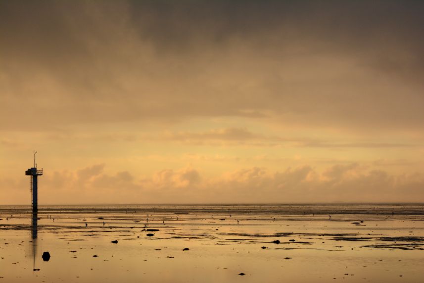 Wad bij Paesens-Moddergat