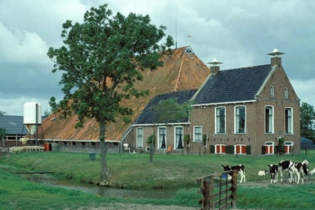 Kop-hals-romp boerderij