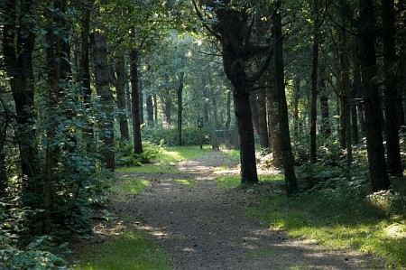 Foto zonder naam