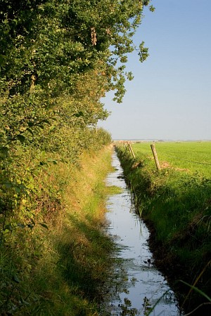 Foto zonder naam