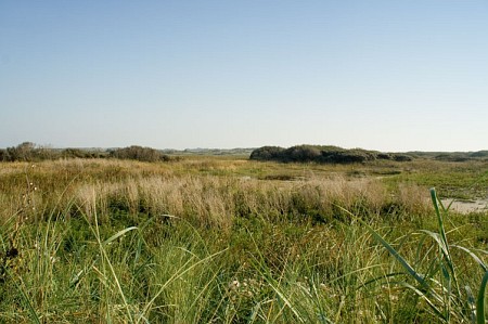 Foto zonder naam