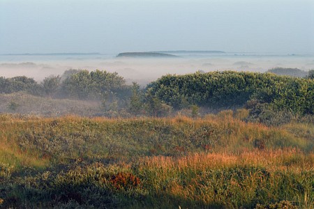 Foto zonder naam