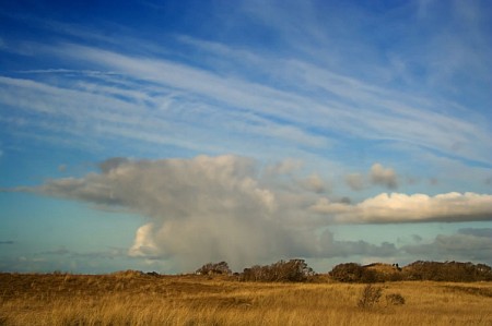 Foto zonder naam