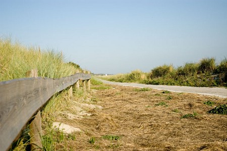 Foto zonder naam