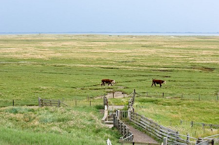 Foto zonder naam